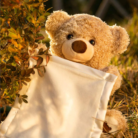 Interactive Pee-ka-boo teddy bear Plush Toy